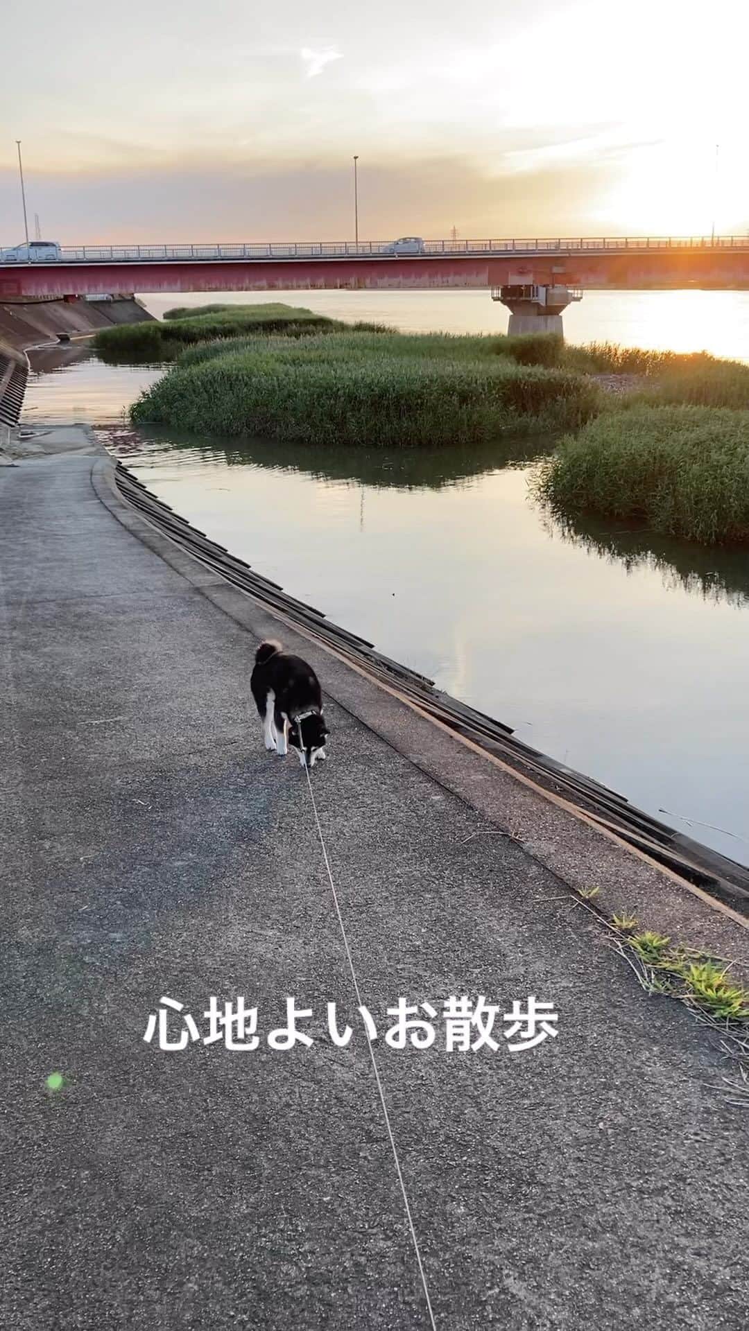 しんたのインスタグラム