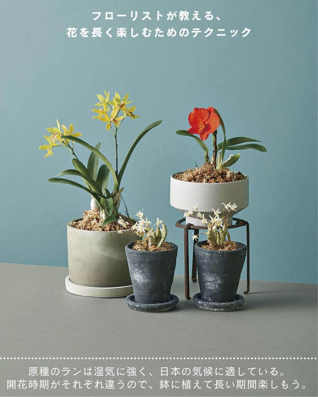 ELLE DECOR JAPANのインスタグラム