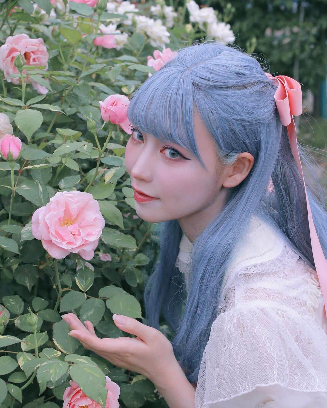 うじたまいさんのインスタグラム写真 - (うじたまいInstagram)「ずっと行きたかった薔薇園に行った日。もうちょっと見頃すぎてたからまた来年、1番綺麗なころに行けますように  京成バラ園雰囲気がとっても良かった、あと薔薇ソフトおいしかったよ🍦  #fyp #バラ園 #portrait #ブルーヘア」7月2日 19時33分 - ujitama0