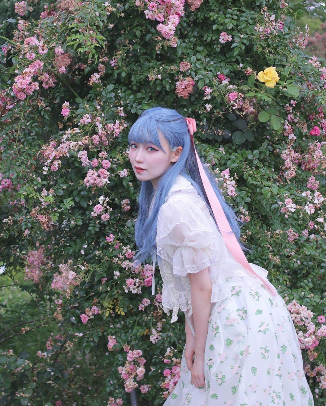 うじたまいさんのインスタグラム写真 - (うじたまいInstagram)「ずっと行きたかった薔薇園に行った日。もうちょっと見頃すぎてたからまた来年、1番綺麗なころに行けますように  京成バラ園雰囲気がとっても良かった、あと薔薇ソフトおいしかったよ🍦  #fyp #バラ園 #portrait #ブルーヘア」7月2日 19時33分 - ujitama0