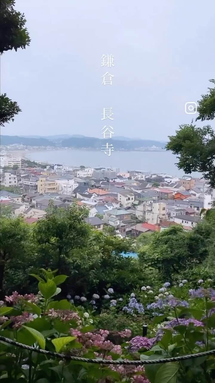 片桐優妃のインスタグラム：「#長谷寺 の#あじさい 綺麗でした🙏山の上から見下ろす海と紫陽花、#鎌倉 の景色は唯一無二🎐 . 📍長谷寺(鎌倉) 拝観料500円 8:00〜16:30 駐車場あり」