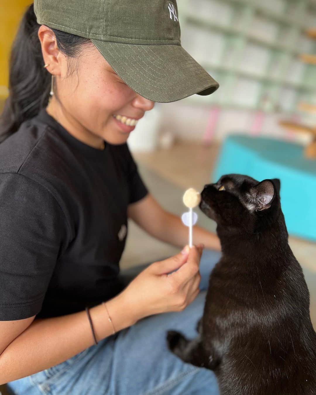 Narumi Shikiyaさんのインスタグラム写真 - (Narumi ShikiyaInstagram)「Cute cats can save the world🫡  猫カフェで、貢いできた🤫」7月2日 19時50分 - naru_chan_official