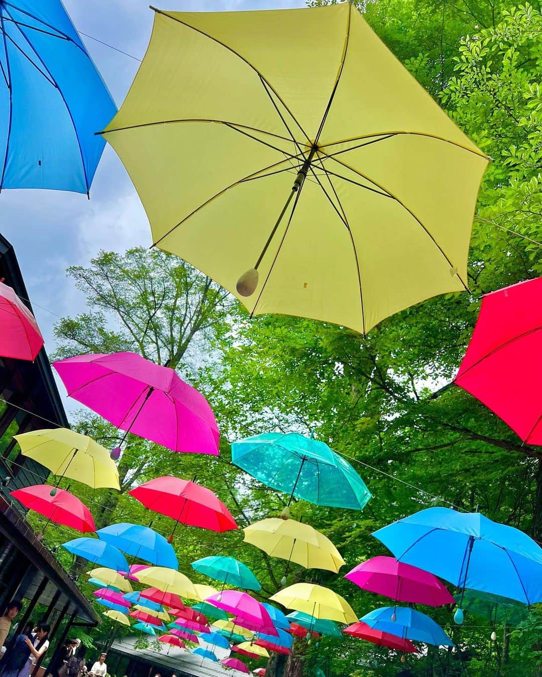 高倉絵理さんのインスタグラム写真 - (高倉絵理Instagram)「今年もバイロンと一緒に行けて嬉しい！  軽井沢『ハルニレテラス』 @harunireterrace   今回もカラフルな傘で彩られる “アンブレラスカイ”開催中でした。  こちらはわんこOK！ リードを外してわんこの撮影をする方が多くて残念。 こんな素敵な場所にわんこと行けるのはとてもありがたい事なので 飼い主さんはルールやマナーを守って楽しみましょう！  📍ハルニレテラス 長野県北佐久郡軽井沢町長倉2145ｰ5  「軽井沢アンブレラスカイ2022」 2023年6月2日(金)〜7月9日(日)  #アンブレラスカイ #軽井沢アンブレラスカイ #軽井沢アンブレラスカイ2023 #ハルニレテラス #星野エリア #軽井沢 #軽井沢観光 #軽井沢旅行 #軽井沢旅 #軽井沢星野エリア #星野リゾート #いぬのきもち #ちわわ #わんこと軽井沢 #ペットライフアンバサダー #hoshinoresorts #hoshinoresort #harunireterrace #hoshinoarea #karuizawa」7月2日 20時01分 - eri_t28