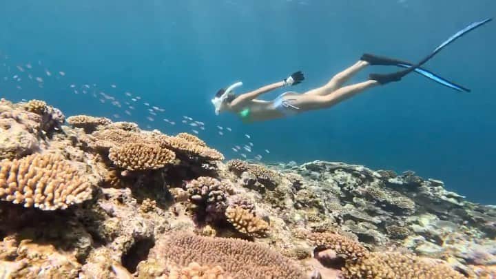 池田美優（みちょぱ）のインスタグラム：「． リトルマーメイドまだ観れてません🧜🏾‍♀️🪸」
