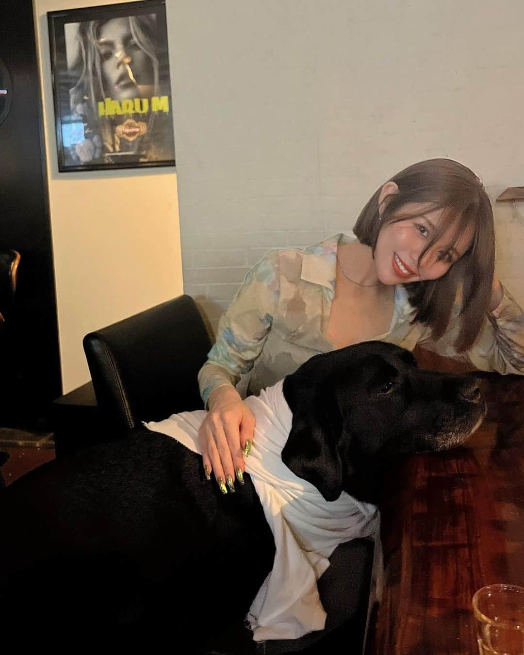 横井美穂のインスタグラム：「. 甘えんぼ🐕‍🦺🥹🩵 ずっと膝の上から離れないの🥹 #ラブラドール」