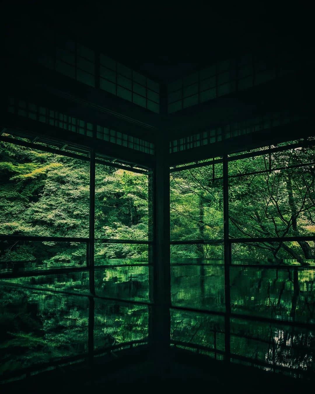 Berlin Tokyoのインスタグラム：「A special summer visit to Ruriko-in Temple. A fantastic world of greenery. . . . #hellofrom Kyoto, japan」