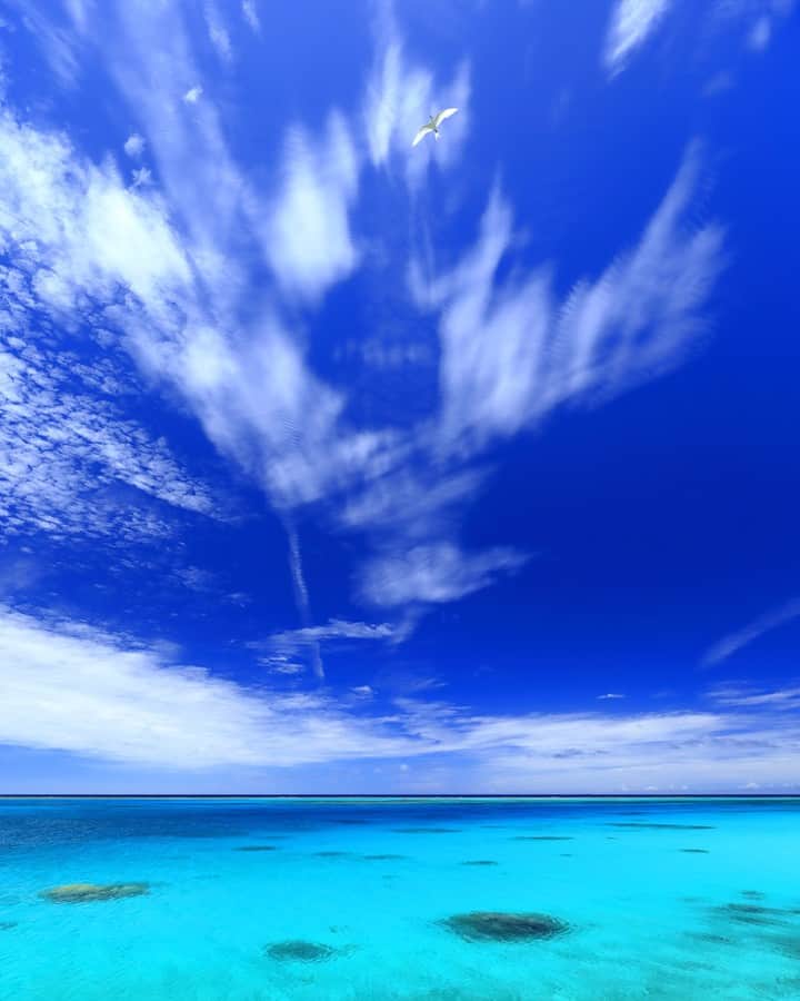 はるさーさんのインスタグラム写真 - (はるさーInstagram)「今日は出かけるときは雲が多めでしたがお昼頃から画像のような夏らしい空になってくれました。 ちょうどアジサシが写りこんでくれました。  宮古島での撮影を受け付けています。 詳細やご質問等はInstagramのDMでお気軽にお問い合わせください。 ストーリーのハイライトに各ツアーのサンプル画像を載せてあります。  ◆ガイド＆撮影コース 　宮古島ビギナーにおすすめ 　もちろんリピーターさんも歓迎 　10時30分～15時00分頃 　1名様　15,000円  ◆一緒に撮影コース 　写真撮影が好きな人におすすめ 　10時30分～15時00分頃 　1名様　15,000円  ◆星空撮影コース 　1晩1組様（新月前後は2組様）限定 　1組1時間半程度 　1名様　12,000円  #沖縄 #離島 #沖縄離島 #青空 #夏空 #空が好き #青い海 #青が好き #絶景 #宮古島旅行 #おいでよ宮古島 #宮古島カメラマン #宮古島フォトツアー #宮古島観光 #専属カメラマン #宮古島市 #フォトツアー #カメラが好きな人と繋がりたい #写真が好きな人と繋がりたい #宮古島ガイド #アジサシ #渡り鳥」7月2日 21時00分 - harusa0222