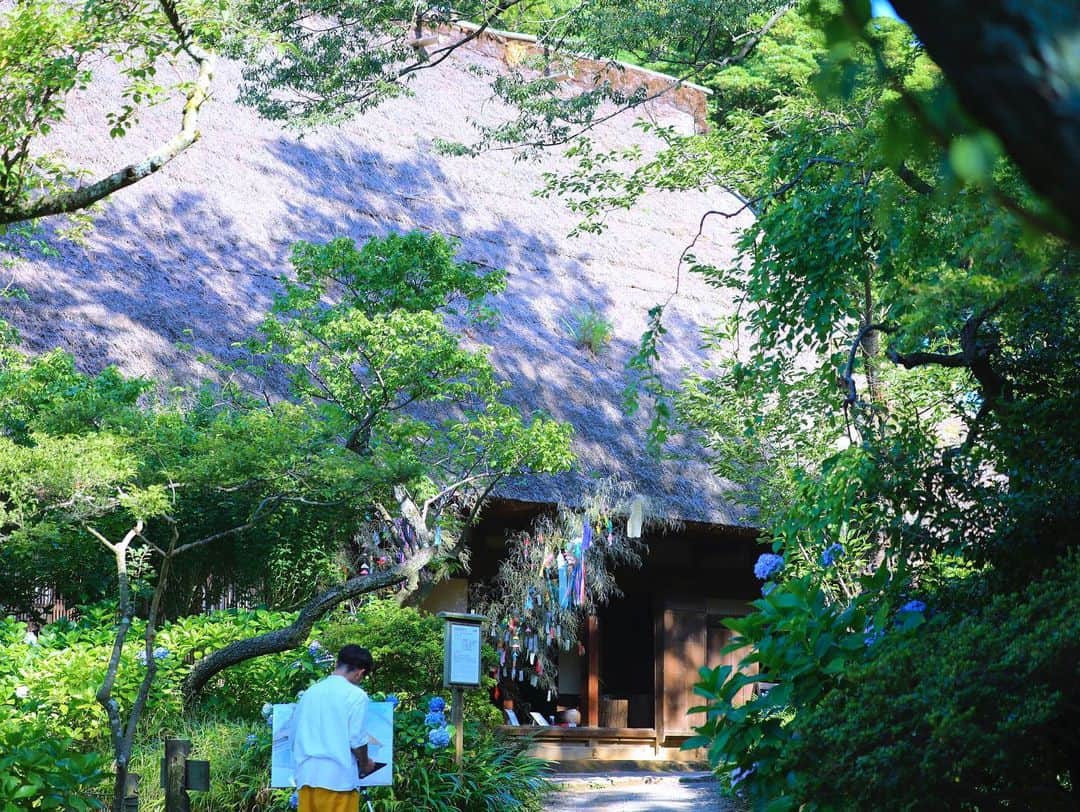 石崎剛さんのインスタグラム写真 - (石崎剛Instagram)「自然ってすごい力だよね！  あー気持ちよかった。  #三渓園　#ポートレート」7月2日 21時00分 - tsuyoshi_0909
