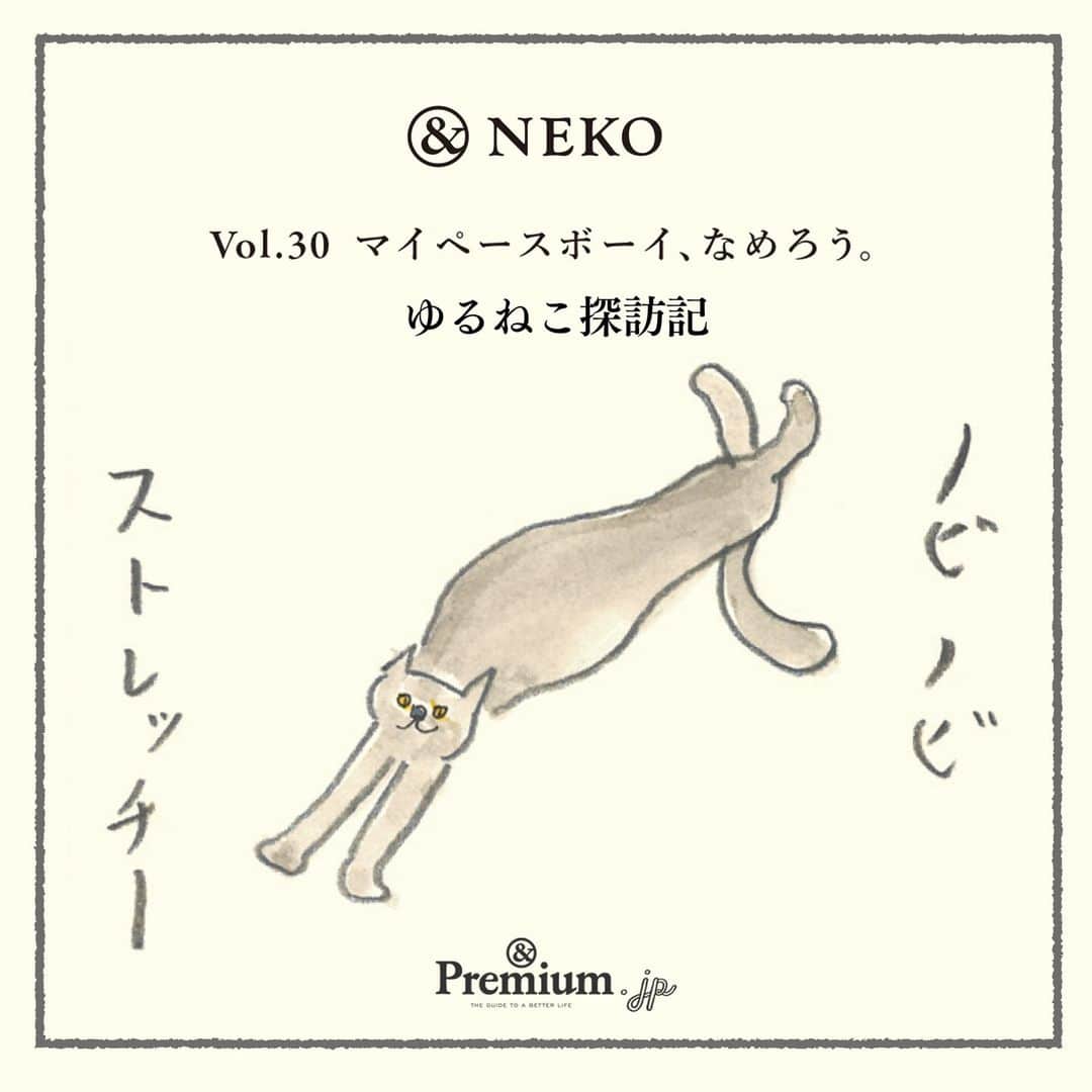 のインスタグラム：「本誌連載【ゆるねこ探訪記】、今月はブリティッシュショートヘアのなめろう（@namerou_boy)が登場。広島育ちのマイペースボーイです。今回も素敵な絵を描いてくれるのはわたなべとしふみさん（@1010toshi）。#andpremiumneko を付けてポストすれば、あなたのねこも描いてもらえるかも。すでにポストしてくださっているみなさま、本当にありがとうございます。 　 本誌サイト『&Premium.jp』では、7月2日より新連載【なめろう、のほほん日記。】もスタート。8月1日まで、毎日更新です。『&Premium.jp』内にて「なめろう」で検索。リンクはプロフから→@and_premium 　 【注意事項】 ・ご自身で撮影した写真に限ります。 ・非公開設定でのポスト、また第三者の著作権、知的財産、プライバシー、肖像権等を侵害する写真は無効となります。 ・ポストしていただいた写真は今後、本誌や別冊等の当社出版物、公式サイト『&Premium.jp』、公式SNS等にも転載してご紹介する可能性があります。 ・誌面に掲載する場合は、事前にダイレクトメッセージにて必要事項記入フォームのURLをお送りします。 ・弊社プライバシーポリシーはこちらからご確認ください。→https://magazineworld.jp/info/privacy/ ・ 本企画は「&Premium」が独自に行うものでありFacebook社、Instagramとは一切関係ありません。 #andpremium #アンドプレミアム #わたなべとしふみ #andpremiumneko #britishshorthair #ブリティッシュショートヘア #今日のなめろう」