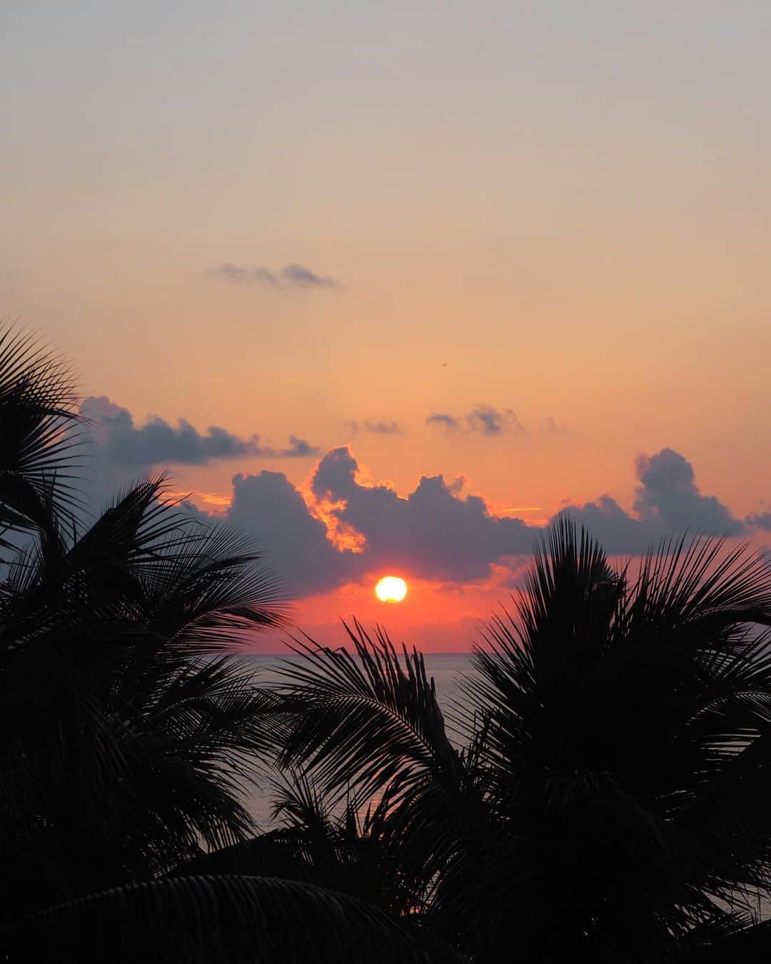 谷内咲季さんのインスタグラム写真 - (谷内咲季Instagram)「. . . カンクンの素敵な景色たち🇲🇽🤍✈︎ 綺麗すぎてため息出る😮‍💨 写真フォルダがまだパンパンなので どうにかしなければ（笑） . . . #cancun #mexico #beach #pool #カンクン #メキシコ #景色 #ビーチ #プール . . .」7月2日 21時02分 - saki.tnuc