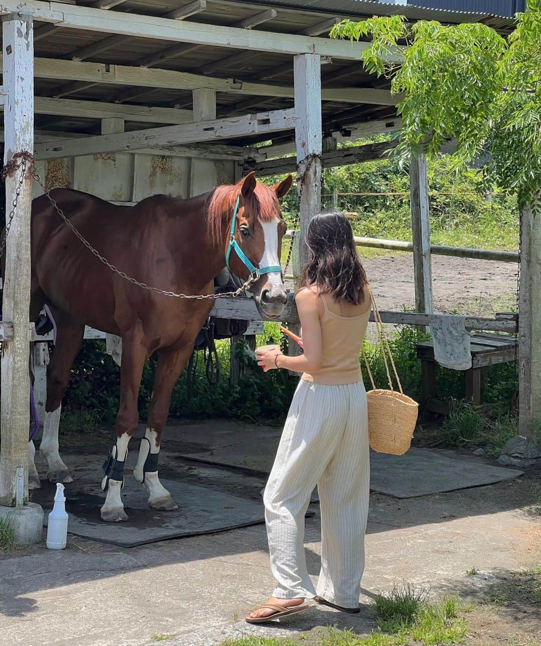 栗山遥のインスタグラム：「近所の馬小屋で、餌やり体験をさせてもらったとき🥕いつも海をお散歩している馬たち、穏やかで可愛かった❤︎」