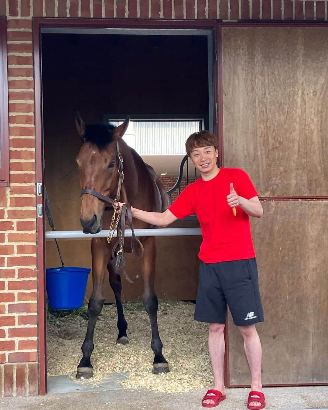 池添謙一のインスタグラム：「函館来てたら会いにいきますわね🐴 ブーが函館来てたので会いにいきました(^^) だいととりゅうとも付き合ってくれて 一年ぶりの再会でした🐴 人参あげたら指食われるかくらいの食いつきで相変わらずの食いしん坊でした笑笑 元気でなにより(^^)  #ブラストワンピース」