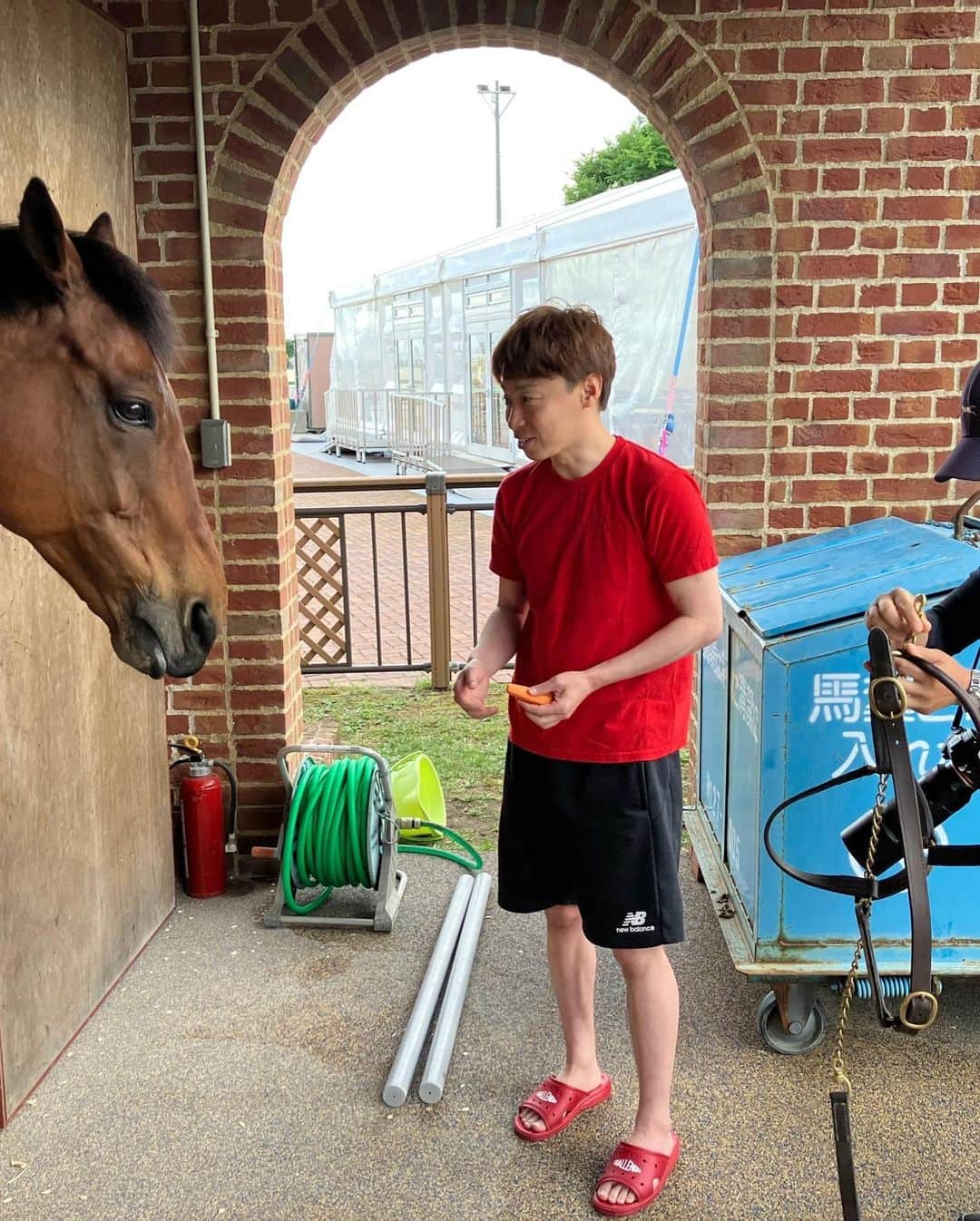 池添謙一さんのインスタグラム写真 - (池添謙一Instagram)「函館来てたら会いにいきますわね🐴 ブーが函館来てたので会いにいきました(^^) だいととりゅうとも付き合ってくれて 一年ぶりの再会でした🐴 人参あげたら指食われるかくらいの食いつきで相変わらずの食いしん坊でした笑笑 元気でなにより(^^)  #ブラストワンピース」7月2日 22時14分 - kenchan.0723