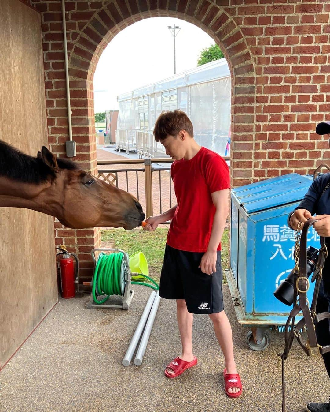 池添謙一さんのインスタグラム写真 - (池添謙一Instagram)「函館来てたら会いにいきますわね🐴 ブーが函館来てたので会いにいきました(^^) だいととりゅうとも付き合ってくれて 一年ぶりの再会でした🐴 人参あげたら指食われるかくらいの食いつきで相変わらずの食いしん坊でした笑笑 元気でなにより(^^)  #ブラストワンピース」7月2日 22時14分 - kenchan.0723