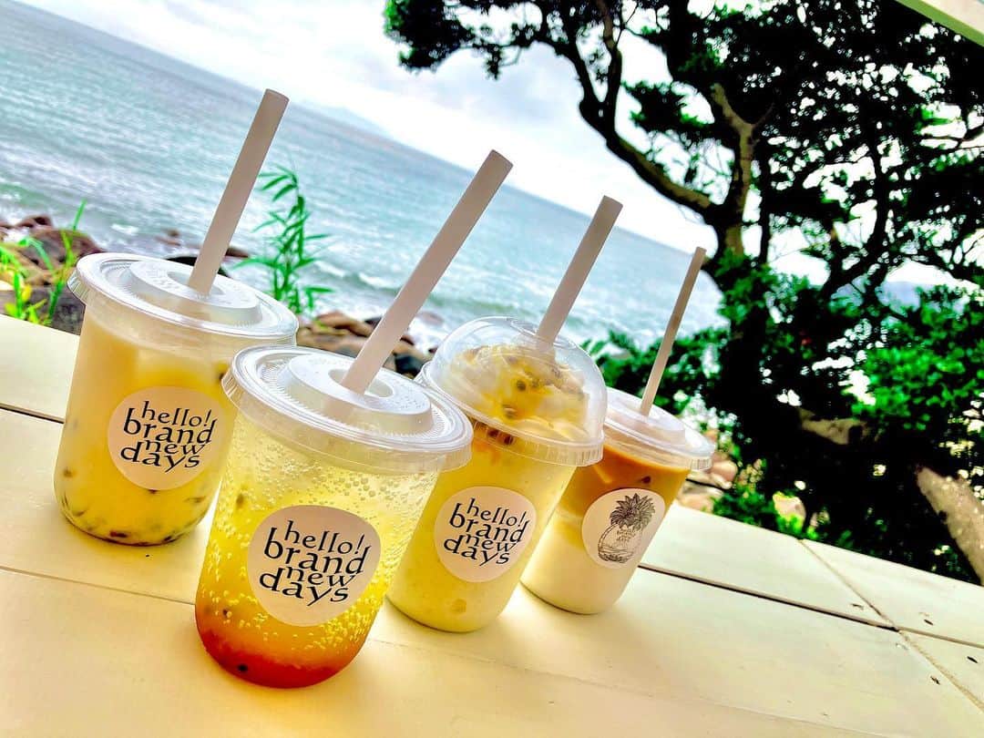 鳥越佳那のインスタグラム：「【休日 南大隅町へ🚗】  海を見ながらオシャレドリンクを🥤✨ 自社農園のパッションフルーツをつかった リリコイミルクで夏を感じました☀️✨ @hello_brandnewdays_cafe   〜〜〜〜〜〜  鹿屋市地域おこし協力隊で パッションフルーツの収穫も 手伝わせていただきました😊 @hello_brandnewdays_farm   果実が艶やかで 宝石を集めているような感覚に💎✨  ハプニングがありながらも 大隅半島の自然と みなさんとのお話に癒された日でした😇  関係者の方々 ありがとうございました🤭♡  〜〜〜〜〜〜 ちなみに 「hello! brand new days cafe」では お芋シーズンになると 石焼き芋も販売するそうです🍠♡ 思いがけずお芋と出会えて感激しました😳❤️🍠 〜〜〜〜〜〜  . . #南大隅町  #鹿屋 から車で約40分 同じ#大隅半島  #さつまいも  #パッションフルーツ #ゲストハウス もある✨ 次は晴れた日の青い海も見てみたいなぁ☺️♡」