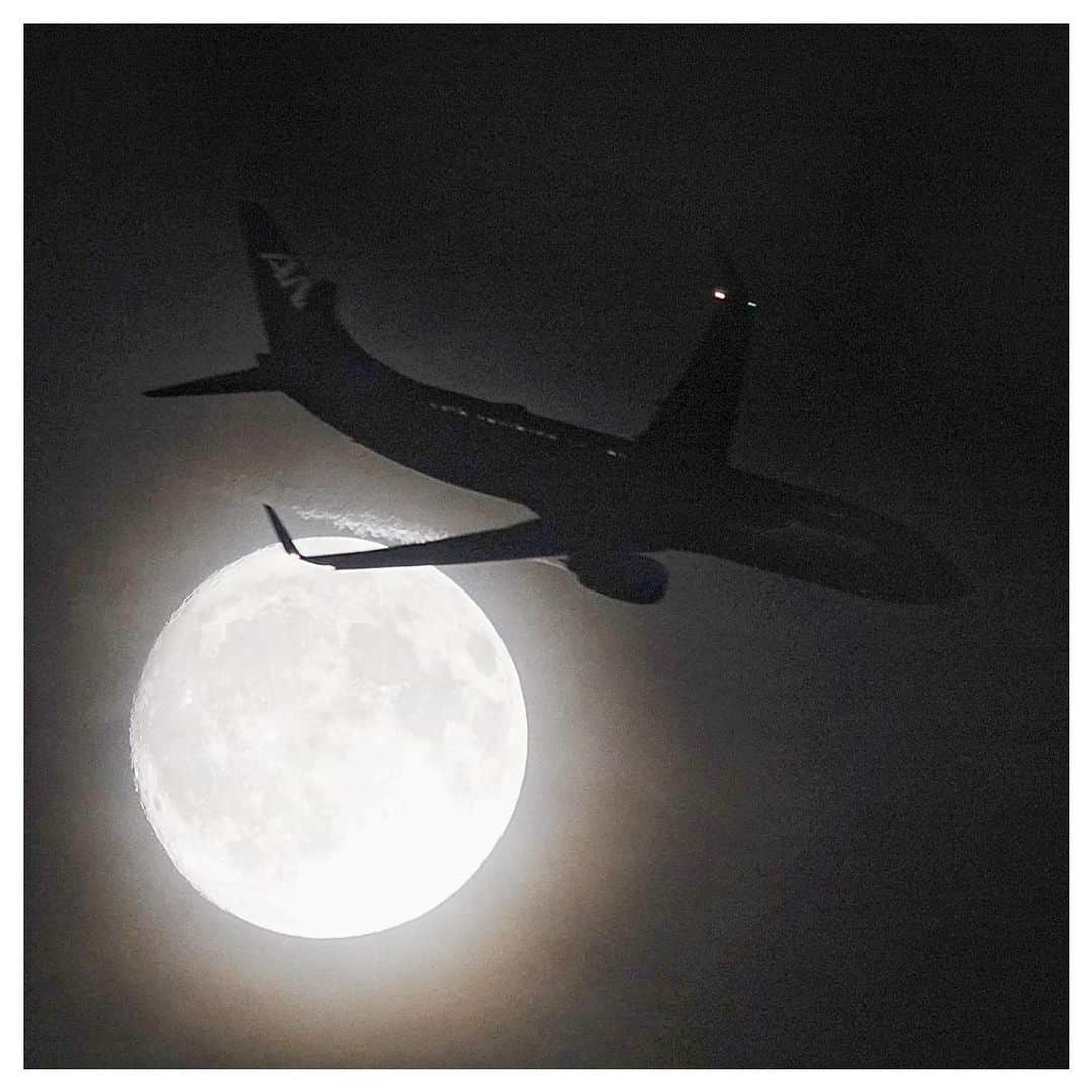 さだまさしさんのインスタグラム写真 - (さだまさしInstagram)「まっサンデースペシャル❣️ 明日満月🌕 おっと惜しい✈️  7月の満月は「バックムーン（Buck Moon）」 オスの鹿（Buck）の象徴である角（つの）が、７月頃になると生え変わるのだとか、、、 . #バックムーン #7月の満月 #月と飛行機 #満月 #飛行機 #さだまさし #sadamasashi」7月2日 22時27分 - sada_masashi
