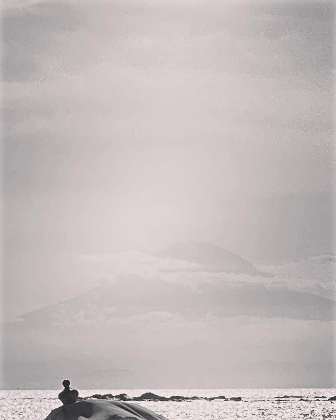 渡辺真起子さんのインスタグラム写真 - (渡辺真起子Instagram)「Summer is coming.  #海の家はじまりました  #富士山開きました #蝉の声」7月2日 23時01分 - watanabe_makiko