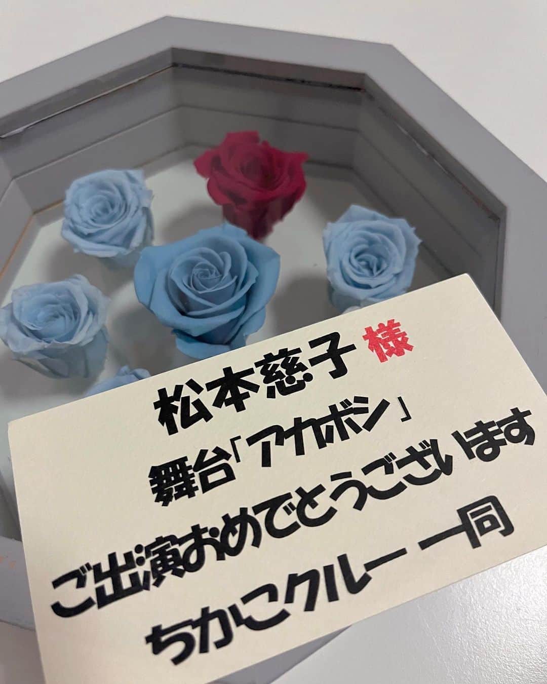 松本慈子のインスタグラム：「* 大好きなみんなから素敵なものを頂きました🌹🩵 ありがとう〜！！！ お家のどこに飾ろうかな〜☺️💭  #お花 #ブリザードフラワー #flower」
