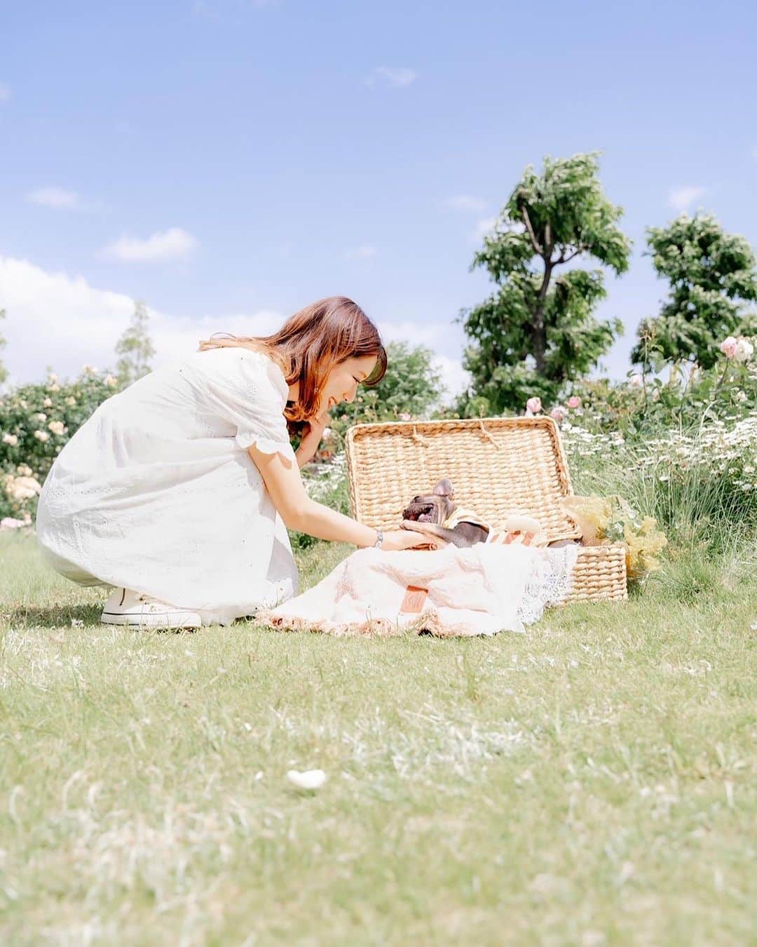 きいたんさんのインスタグラム写真 - (きいたんInstagram)「🌴🌼 ⁡ ⁡ いちご写真やと老けるのなんでやろ🤣🤣 ⁡ 着用してる白ワンピースは @shein_japan の 商品番号14233834です👗 少しだけ透けるのでインナー必須かも! ⁡ お得なクーポンコード☞6S89 0〜5999円で15%オフ 6000円以上のご購入で20％オフです❣︎ 有効期限☞2023/07/31 ⁡ ⁡ ⁡ ⁡  #saveinstyle #SHEIN #SHEINコーデ #SHEIN購入品 #夏コーデ #夏服  #購入品紹介」7月2日 23時12分 - k11_tan