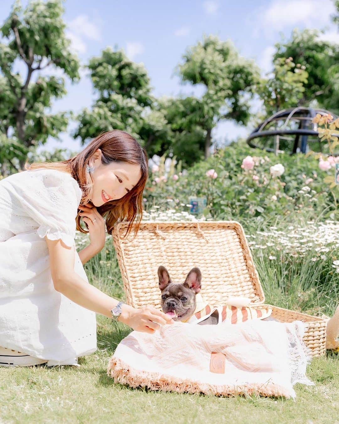 きいたんさんのインスタグラム写真 - (きいたんInstagram)「🌴🌼 ⁡ ⁡ いちご写真やと老けるのなんでやろ🤣🤣 ⁡ 着用してる白ワンピースは @shein_japan の 商品番号14233834です👗 少しだけ透けるのでインナー必須かも! ⁡ お得なクーポンコード☞6S89 0〜5999円で15%オフ 6000円以上のご購入で20％オフです❣︎ 有効期限☞2023/07/31 ⁡ ⁡ ⁡ ⁡  #saveinstyle #SHEIN #SHEINコーデ #SHEIN購入品 #夏コーデ #夏服  #購入品紹介」7月2日 23時12分 - k11_tan