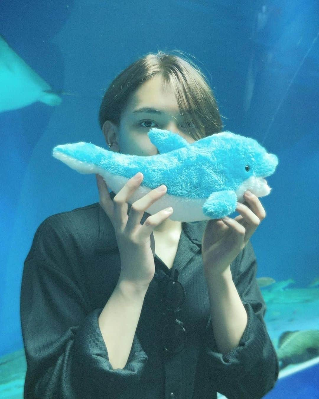 中村榛さんのインスタグラム写真 - (中村榛Instagram)「アクアパークに行ってきました🐬  上京して初の水族館 凄く癒されました✌️」7月2日 23時58分 - naka.haru0819