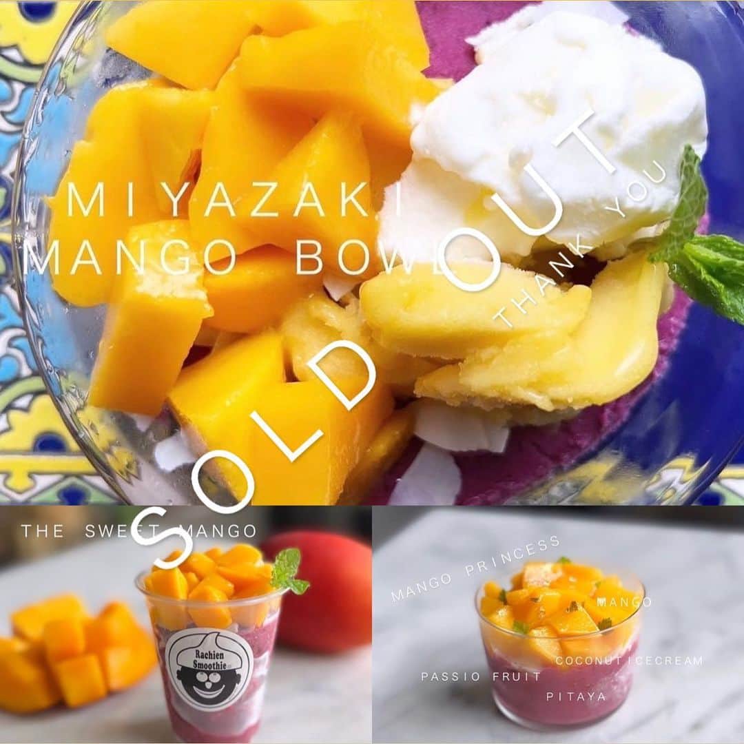 Rachien Smoothieのインスタグラム：「. . 週末はたくさんのご来店ありがとうございました！  宮崎の高級完熟マンゴーの贅沢メニューは、本日で完売につき終了とさせて頂きます。  まさにとろける美味しさ！  たくさんの皆様のとろける笑顔に...  私たちも幸せでした☺️  来年も楽しみにしていてくださいね！  そして...  美味しいマンゴーを作ってくれた宮崎の @mshr_mango_ くん、  ご縁を繋いでくれた宮崎のプロサーファー @kairi_ohno ちゃん、ありがとう！」