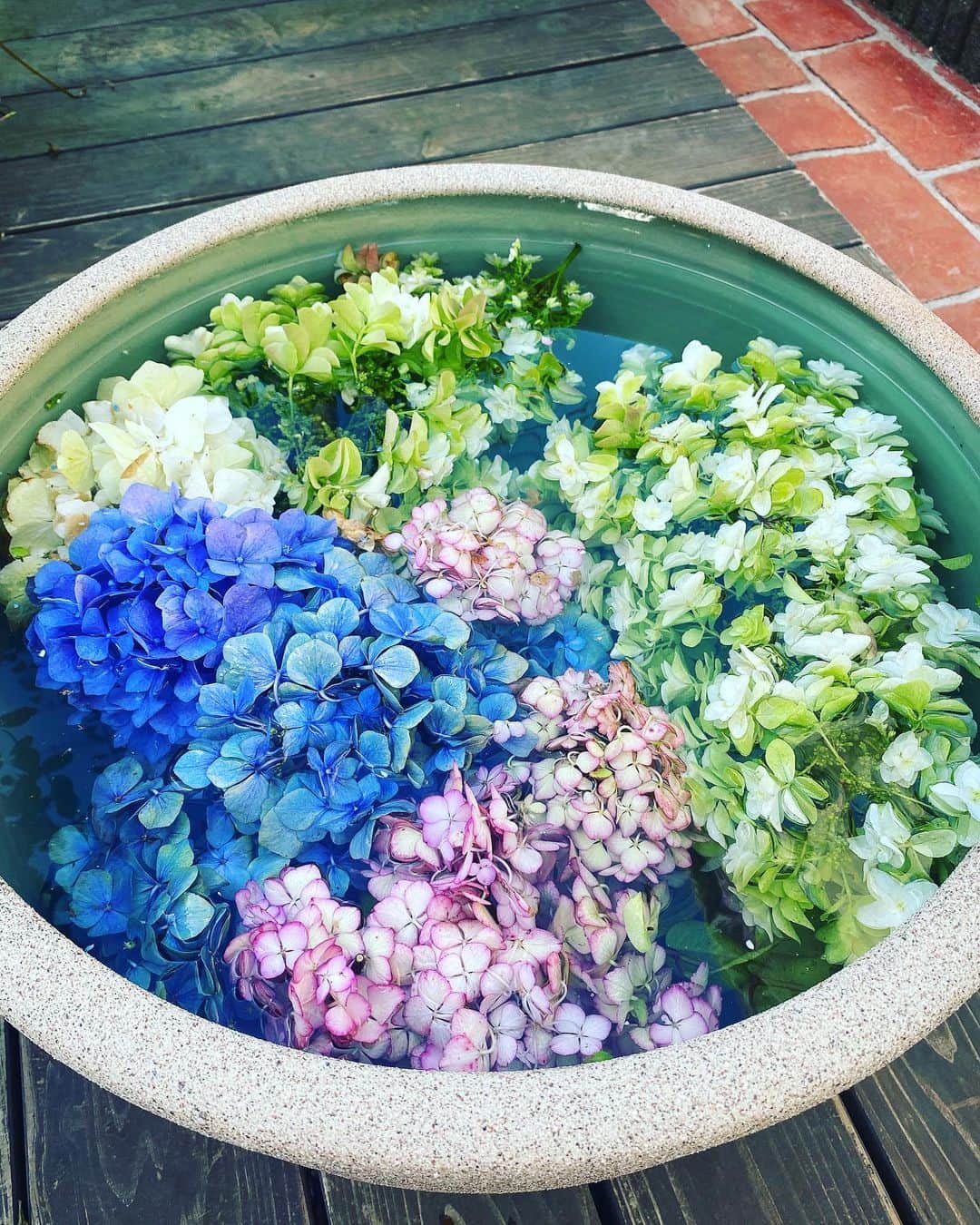 野口健さんのインスタグラム写真 - (野口健Instagram)「紫陽花の剪定作業を始めたけれど、日中は暑いのなんの🥵  せめて気持ちを涼めようと剪定をした紫陽花を水に浮かべてみました。うん、確かに、これは、涼しい(^ ^)   #野口健#野口健ガーデニング」7月3日 0時13分 - noguchiken8848