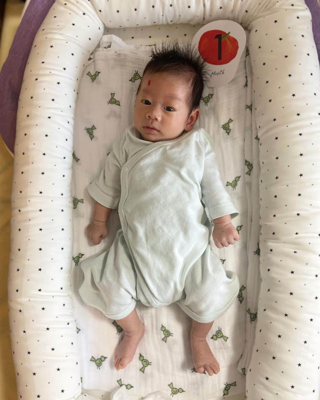 hiyoriのインスタグラム：「Zen, one month old 👶🙌  産まれたその日に NICUへ送られたゼンザウルス🦖💦  レントゲンで肺が真っ白って言われた日には こちらも頭真っ白に😶‍🌫️  ママは夜な夜なオーンオーン🐺💦 泣きましたが すさまじい生命力で回復してくれました💪✨  退院間際の頃は  「あ！ママきたよ！ ママ〜待ってました〜😅」  って看護師さん数名に囲ってもらい 抱っこしてもらってたゼン…  泣き散らかして 美人を集めていた模様… その手法、やるじゃないか😂  泣き方がちーまるとはちがって なぁんか甘えん坊なんだよな〜  「男の子、かわいいよ♡」  って教えてくれた先輩ママたちの 言葉がちょっとわかってきちゃいました☺️🫶  最後に ちーまるも、おねえちゃん1ヶ月 おめでとう🎉🥳  お姉ちゃんしたいけど まだまだ甘えたい 複雑なお年頃…👧🎀  寝不足だとうまく対応できず 毎日凹んでます👩💧  慣れる日は来るんだろうか〜😭  #生後1ヶ月 #1ヶ月ベビー #育児 #育児記録」