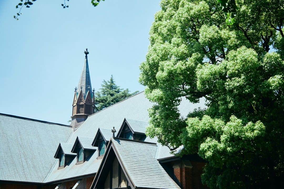 Meiji Gakuin/明治学院大学/明学のインスタグラム：「色とりどりの #明学 キャンパス🌼  白金キャンパスの緑と花々を集めてみました。 白金・横浜両キャンパスで季節を感じることができるのは、明学の魅力の1つかもしれませんね。  たまには自然を眺めてリラックス☺️  #明治学院大学 #白金キャンパス #白金 #春学期 #春学期もがんばろう #緑 #花#明学 #明治学院 #明学人 #勉強 #大学 #授業 #明学生 #メイガク #明学ライフ #大学生活 #キャンパスライフ #mgu #meijigakuinuniversity #meijigakuin #meigaku #photography #photographer」