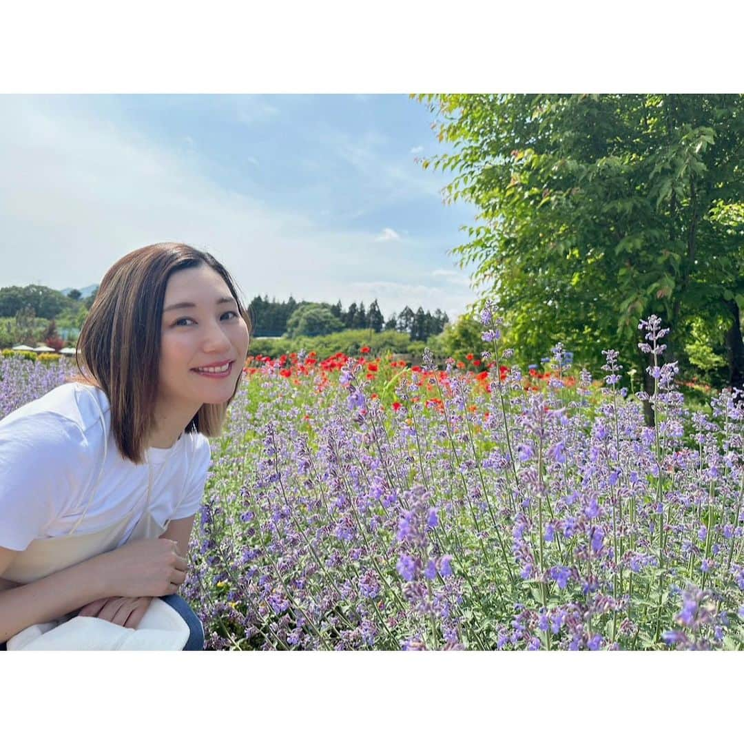 佐々木瞳さんのインスタグラム写真 - (佐々木瞳Instagram)「【お花に囲まれて💐】  5月末に行った群馬県への日帰りバスツアー🚌 沢山の花々が咲く @nakanojo_gardens  にも行きました💐この時期はバラやポピー、ラベンダーなとがとっても綺麗に咲いていて、うっとり˚✧₊⁎❝᷀ົཽ≀ˍ̮ ❝᷀ົཽ⁎⁺˳✧༚  @hokawakanonn  と終始、撮影会になりました🤭🤍  日帰りバスツアーは大学生ぶり？くらいだったけれど、とっても楽しかった✨また行きたいなぁ〜♪」7月3日 10時20分 - hitomihappygirl1026