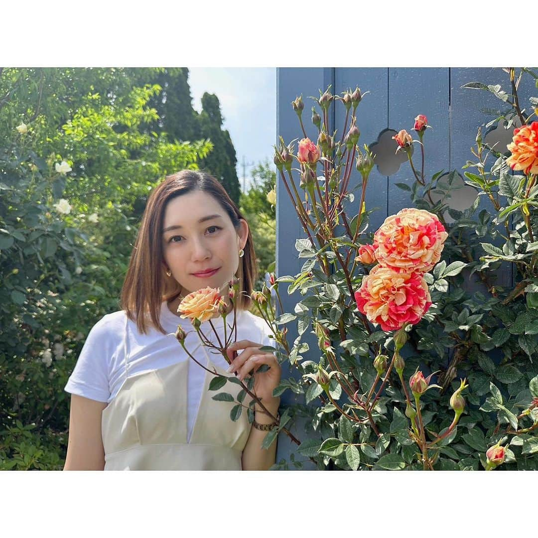 佐々木瞳さんのインスタグラム写真 - (佐々木瞳Instagram)「【お花に囲まれて💐】  5月末に行った群馬県への日帰りバスツアー🚌 沢山の花々が咲く @nakanojo_gardens  にも行きました💐この時期はバラやポピー、ラベンダーなとがとっても綺麗に咲いていて、うっとり˚✧₊⁎❝᷀ົཽ≀ˍ̮ ❝᷀ົཽ⁎⁺˳✧༚  @hokawakanonn  と終始、撮影会になりました🤭🤍  日帰りバスツアーは大学生ぶり？くらいだったけれど、とっても楽しかった✨また行きたいなぁ〜♪」7月3日 10時20分 - hitomihappygirl1026