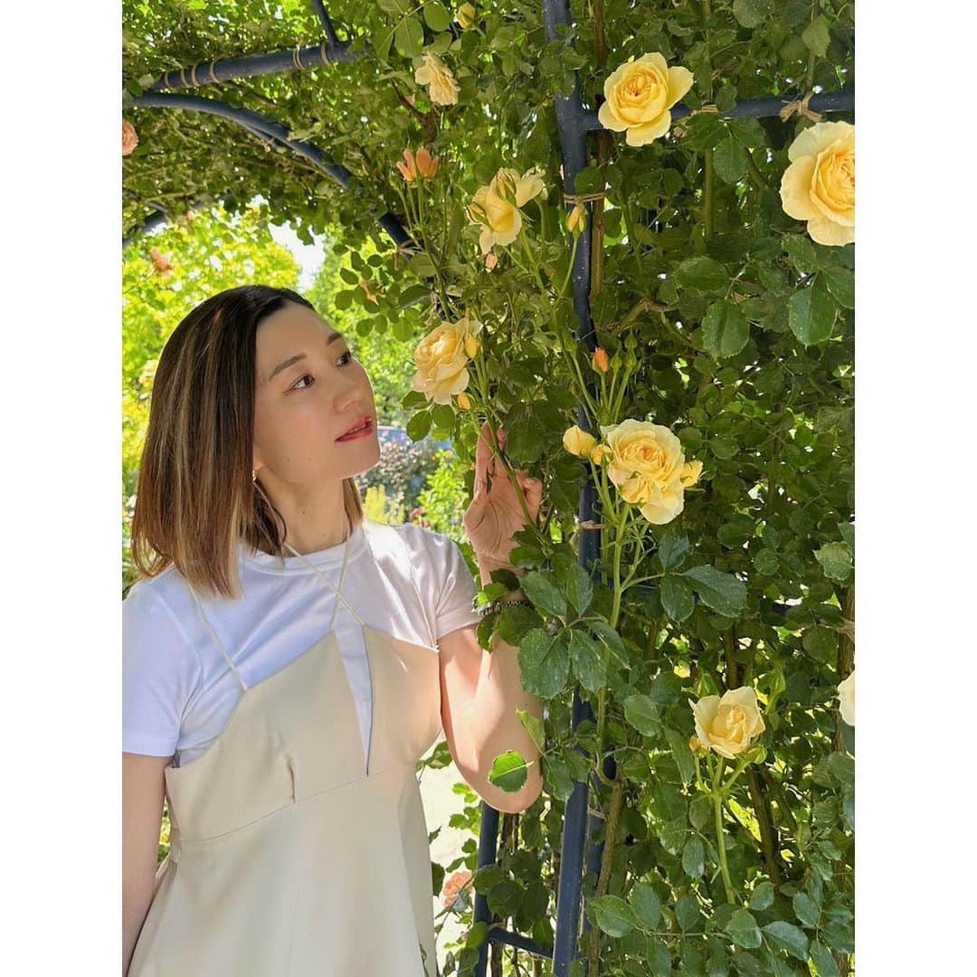 佐々木瞳のインスタグラム：「【お花に囲まれて💐】  5月末に行った群馬県への日帰りバスツアー🚌 沢山の花々が咲く @nakanojo_gardens  にも行きました💐この時期はバラやポピー、ラベンダーなとがとっても綺麗に咲いていて、うっとり˚✧₊⁎❝᷀ົཽ≀ˍ̮ ❝᷀ົཽ⁎⁺˳✧༚  @hokawakanonn  と終始、撮影会になりました🤭🤍  日帰りバスツアーは大学生ぶり？くらいだったけれど、とっても楽しかった✨また行きたいなぁ〜♪」