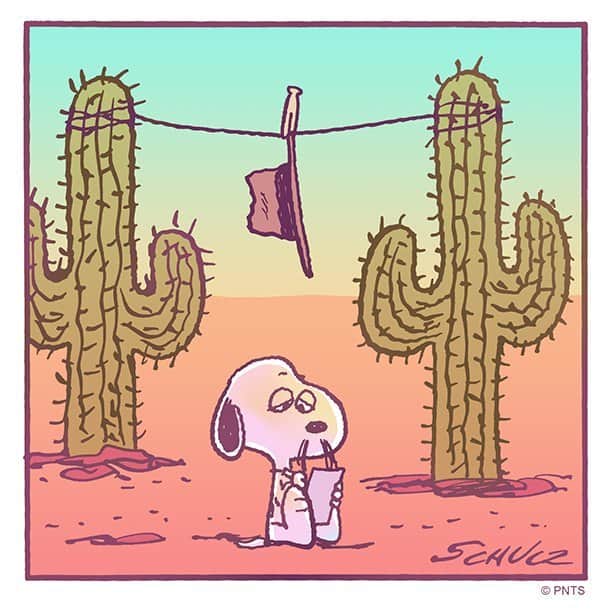スヌーピーのインスタグラム：「Laundry day!」