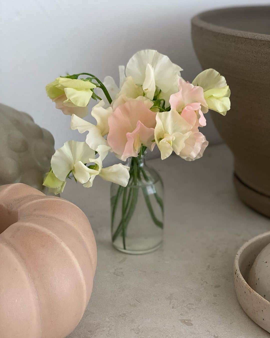 Frida Ramstedtのインスタグラム：「Sweat Peas Castlewellan 👌🏻 Lathyrus odoratus.  Min svägerska @ramstedtanna lyckas alltid hitta de finaste frösorterna. Jag njuter av buketten jag fick med mig hem och skriver upp dessa på nästa sommars odlingslista  🌱  #luktärt #sweatpeas #trädgård」