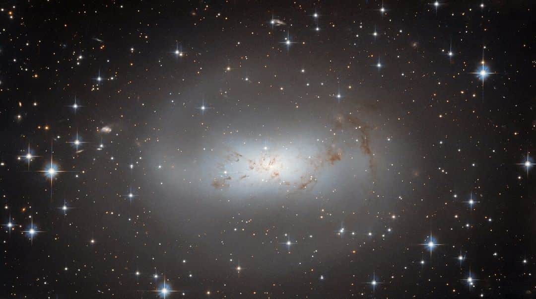 NASAさんのインスタグラム写真 - (NASAInstagram)「Galaxy ESO 174-1 is highly irregular, but that doesn’t make it any less stunning!✨  ESO 174-1 lies around 11 million light-years from Earth and consists of a bright cloud of stars and a faint, meandering tendril of dark gas and dust. This @NASAHubble image is part of a collection of Hubble observations that aims to get to know our nearby galactic neighbors. Learn more at the link in our bio!  Image Description: A galaxy, large and occupying most of the view from the center. The whole galaxy is made of smooth, diffuse light. In the center it is brighter and bluer, fading to a pale gray halo that is faint and see-through. The light forms an arm on one side that curls around the top. A couple threads of dark dust cross the center. Many stars shine around the galaxy, on a black background.」7月3日 4時00分 - nasagoddard