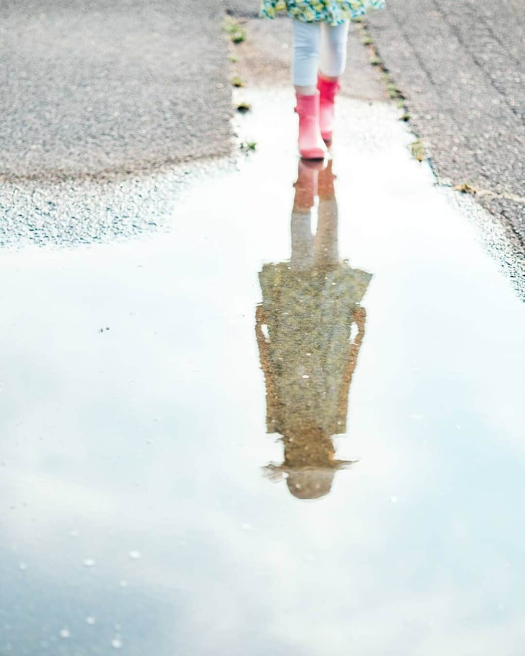 LIFE with CAMERAのインスタグラム：「雨あがり。 Photo by @mamabane_7 https://buff.ly/3XD7ATS . ＼ユーザーのみなさまの作品を紹介中／ . EOS M200・M100・M10に限らず、すべてのCanonのカメラで撮影された写真や動画に、指定のハッシュタグをつけて投稿いただいた作品をシェアさせていただきます！ . ▽指定ハッシュタグはこちら #LIFEwithCAMERA + #機材名 （例：#eosm200、#eosr10、#powershotg7xmk3など） . （※）紹介させていただく際は事前にご連絡はいたしませんのでご了承ください。 （※）投稿いただく写真に使用される著作物、肖像については、ご本人が著作権を有するもの、又は権利者から事前に使用承諾を得たものであるものとします。ご投稿いただく写真に関して万一問題が生じた場合は当事務局は責任を負いかねますことご了承ください。 . Canonのカメラの詳細は、本アカウントのプロフィール（ @canon_eosm ）にあるURLからご覧ください。 . #eosr6 #canoneosr6 #r6 #LIFEwithCAMERA #LIFE_with_CAMERA #カメラのある生活 #Canon #キヤノン #EOS #powershot」