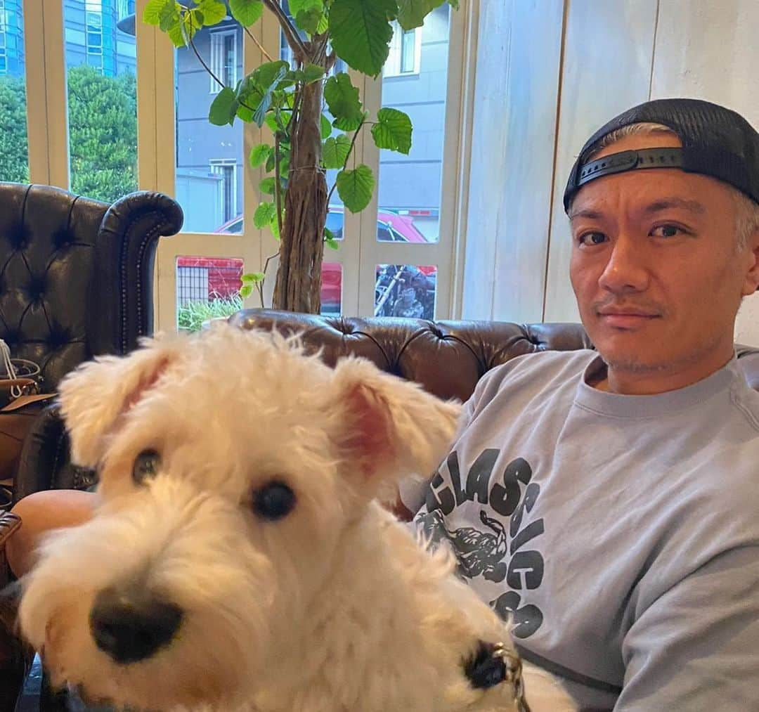 押尾学さんのインスタグラム写真 - (押尾学Instagram)「hey buddy🐶🩵  #mansbestfriend #sunday」7月3日 11時32分 - manabuoshio_official