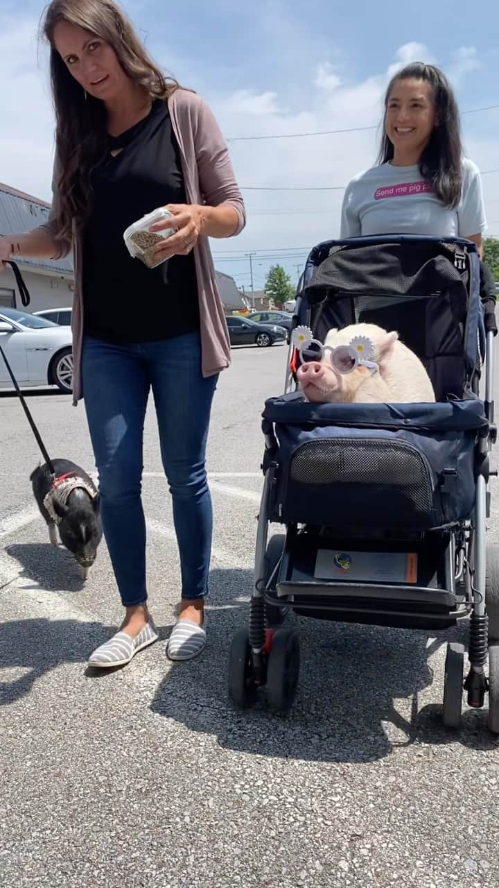 Hamletのインスタグラム：「That one time we went to lunch with Joy from @localclarksville 🐷💕🐷#ladieswholunch」