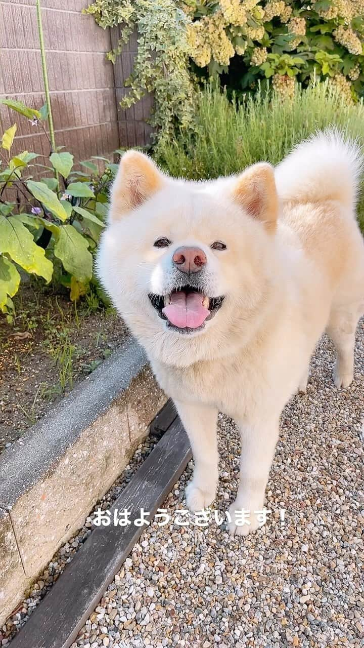 水谷雅子のインスタグラム