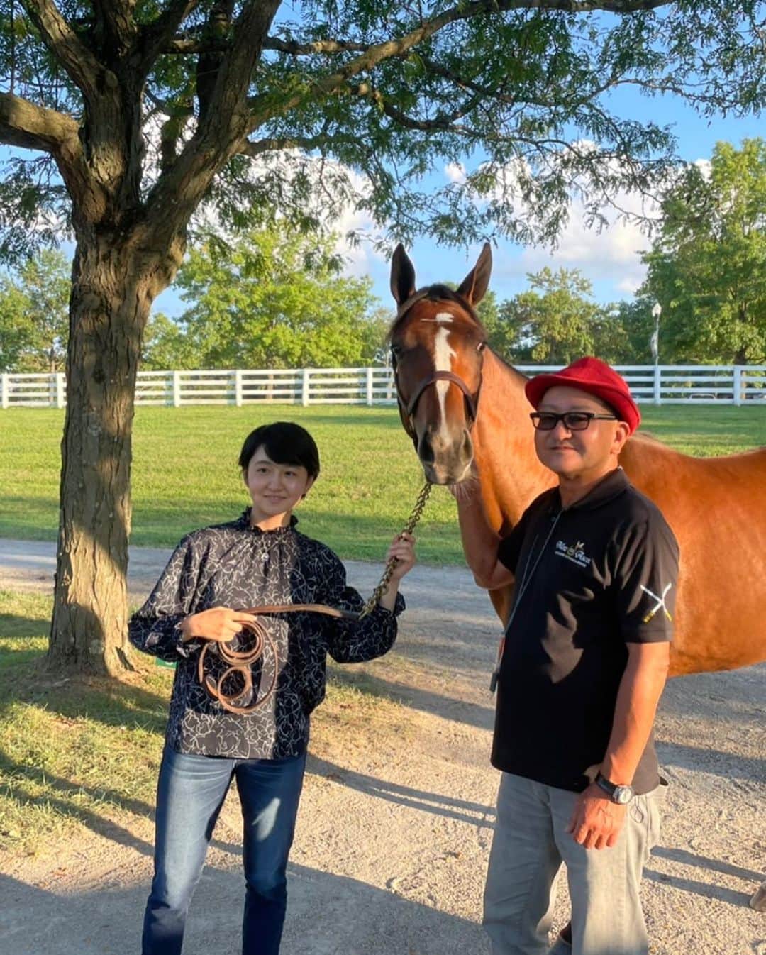 古川奈穂さんのインスタグラム写真 - (古川奈穂Instagram)「土曜日、日曜日ともに函館競馬場で騎乗させて頂きました。 乗せてくださった関係者の皆様、応援してくださった皆様、ありがとうございました。  一生懸命走ってくれた馬たちも、ありがとうございました☺️  日曜日に乗せて頂いたメリタテス号は、2021年9月にアメリカ・キーンランドで行われたセプテンバーセールで矢作先生と一緒に見ていた馬です☺️ 厩舎で大人になった姿を見た時は感慨深かったですが、実際にレースに乗せて頂くことができてとても嬉しかったです✨  結果を出せるように頑張りたいと思います💪  今週も宜しくお願いいたします！  #函館競馬場  #メリタテス  #セプテンバーセール」7月3日 19時20分 - naho_furukawa_official