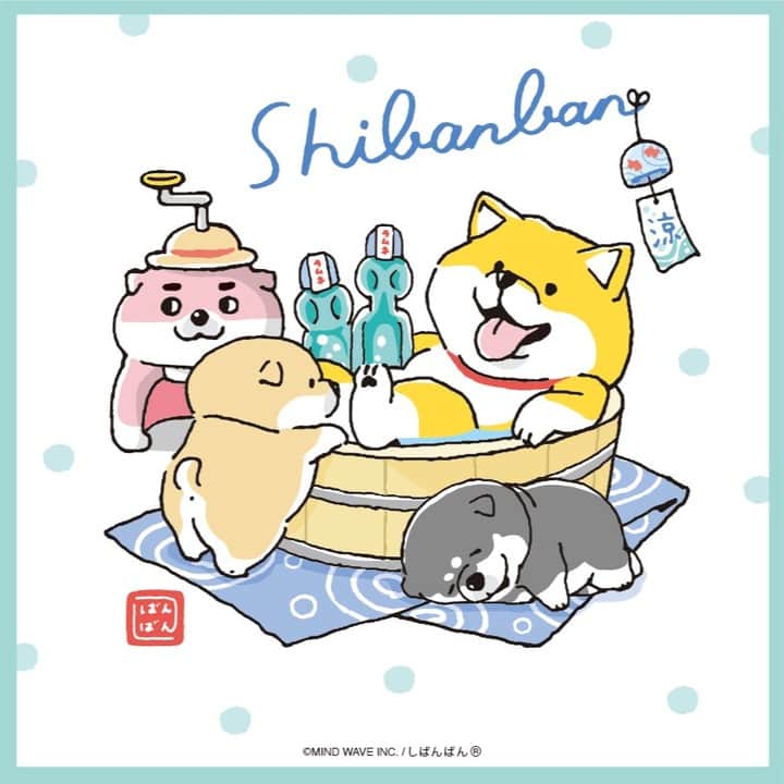 オオゴシヤステルのインスタグラム：「#今日のしばんばん   ご主人、もう夏がはじまりますよ🐾 ましゅよ〜🌈 〈ฅ `ᴥ´ ฅ〉(ฅ・ᴥ・ฅ)  ■INFO■ 🎪オンラインストア限定🎪 7/1より合計￥3,000以上(税込・送料＆手数料除く)ご購入の会員様に #オオゴシヤステル 描きおろし「涼し気 #しばんばん」ステッカーをプレゼント🍧👀 そろそろラムネのおいしい季節ですね🌈   メルマガ購読でPC・スマホ壁紙もDLできます✨ ※先着300名様   ▶https://mindwave-store.com   ※先着300名様限定   #マインドウェイブ #mindwave #オオゴシヤステル #ノベルティ #ステッカー #しばんばん #shibanban #むちころばんばん #muchicorobanban #微笑柴犬 #マインドウェイブ #mindwave #オオゴシヤステル #柴犬 #しばいぬ #sibainu #イラスト #夏」
