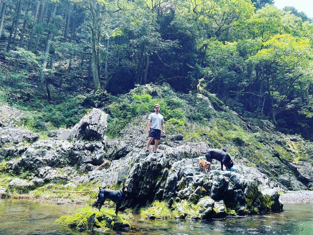 石渡伸太郎のインスタグラム：「夏や☀️🐕」