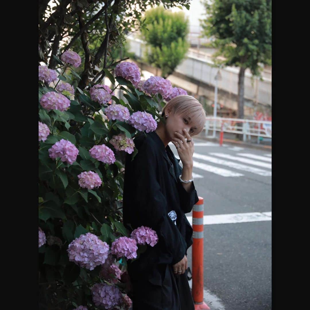 岡春翔さんのインスタグラム写真 - (岡春翔Instagram)「. 紫陽花 . Photo: @sho__hayakawa」7月3日 19時37分 - strangecat_haruto