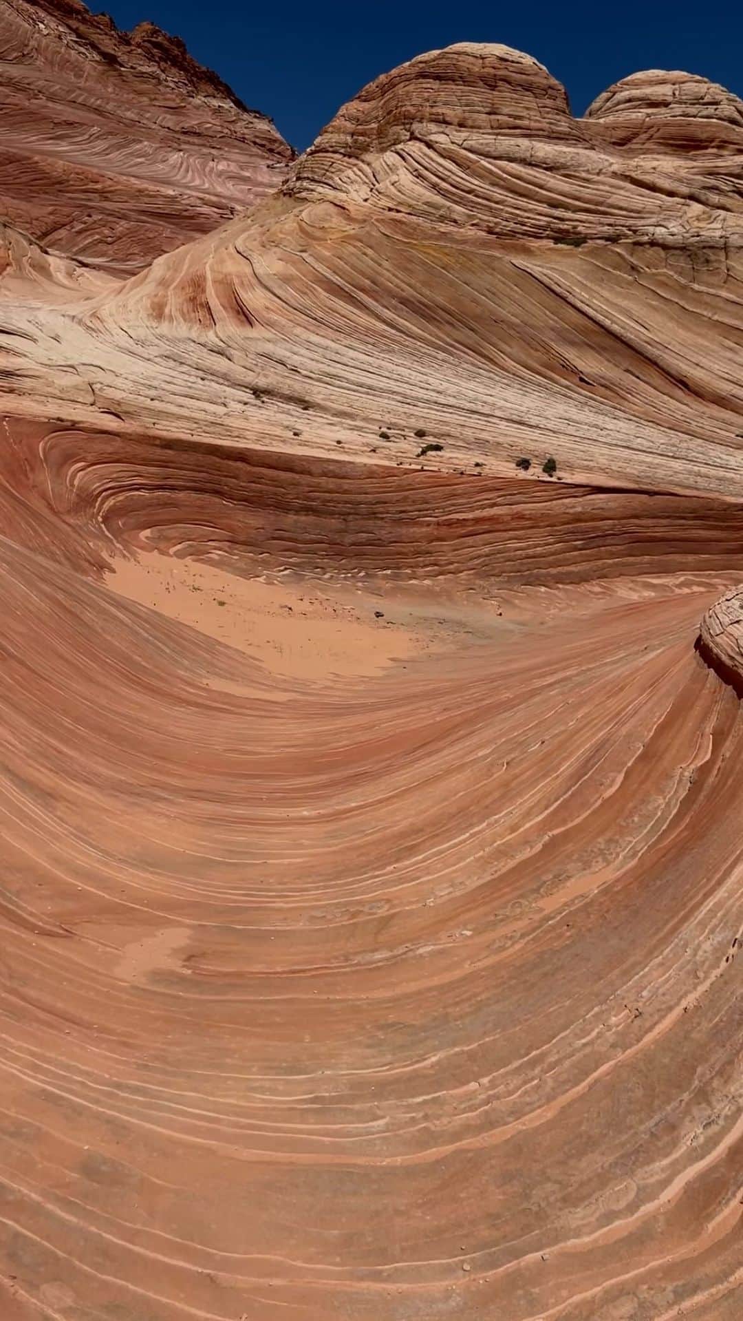 川島幸美のインスタグラム：「Landed on Mars.🪐」