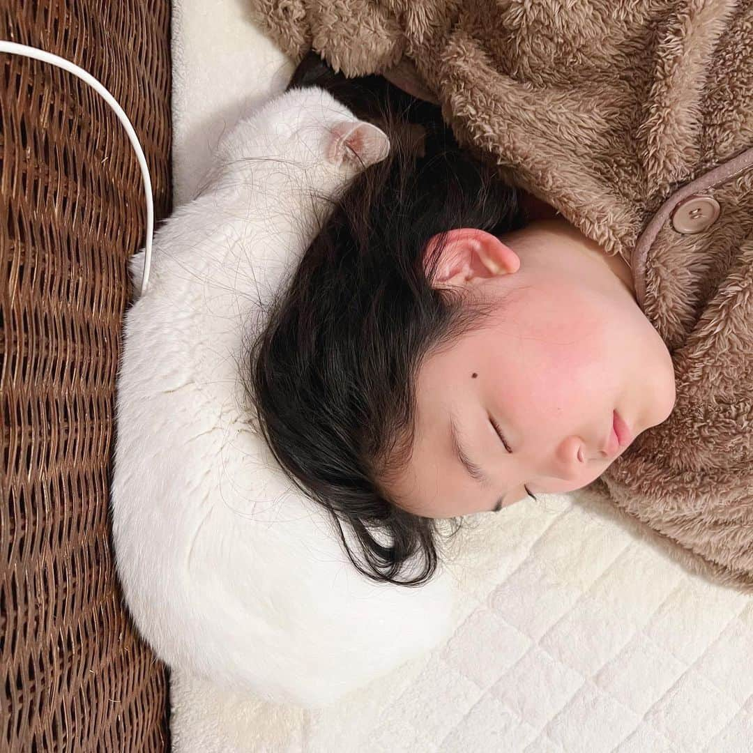 korokoronyaさんのインスタグラム写真 - (korokoronyaInstagram)「✶*∗ 3 Jul, 2023  #pastpic #goodnight 😴😴 * #過去写真 😴 ちびマメ姉さんは 今日から2泊3日日光へ 旅立ちました〜✨ 今朝も相変わらずのマイペースで 時間の見通しをもって行動しないから イライラ…💢 でも無事行って母ちゃんはとりあえず ほっとしてます😮‍💨 ほんのちょっとの有意義な時間 ダラダラ過ごそ〜w * #もちとちびまめ」7月3日 19時59分 - korokoronya