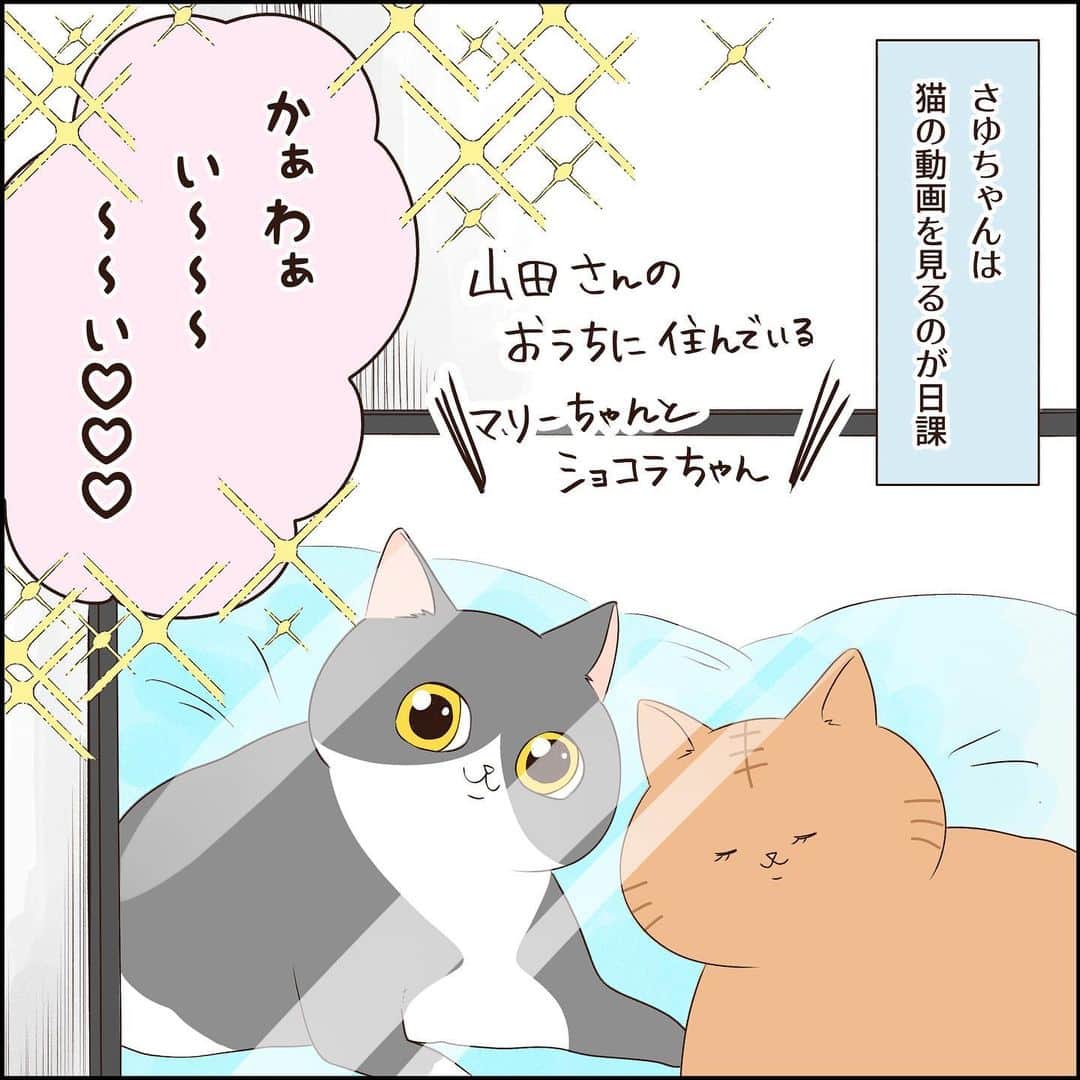 こじめのインスタグラム：「【かぶりつき】  どんな気持ちで見てるのか激しく気になる  #猫漫画 #にゃんすたぐらむ  #保護猫 #灰猫  #猫のいる暮らし #catcomic」