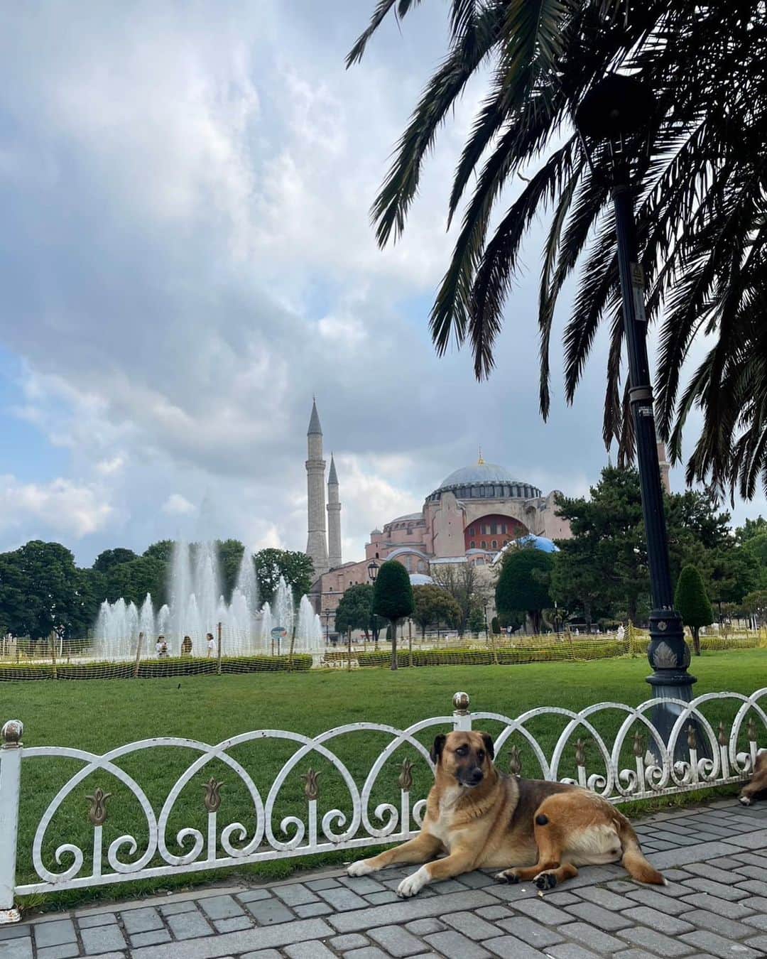 石川恋さんのインスタグラム写真 - (石川恋Instagram)「Returned to Japan from Turkey🇹🇷🇯🇵 皆さん、トルコ滞在中にインスタライブにて発表させてもらった写真集について、たくさんのコメント本当にありがとうございます！ ずっと訪れたかったトルコは想像以上に素敵な国でした。 ご飯はとっても美味しいし、可愛い犬猫が街中にいて、どこを切り取っても美しい景色ばかり。 出会った人はみんな優しくて陽気でパワフル！ 今回の写真集の海外ロケ編にトルコを選んで本っっ当に良かったと思っています🌙 何度でも訪れたい、大好きな国になりました。 宝物のような思い出と経験をたっくさん持って帰ってきたよーー！ 少しずつオフショットとともに投稿していくね☺️ 写真集の詳細については、もう少しでいろいろと正式にお知らせできる予定なので、ぜひ続報を楽しみに待っていていただけると嬉しいです！ とにかく今は完成に向けて全力投球中です🔥 どうか応援よろしくお願いいたします！！ #Turkey #トルコ #写真集 #石川恋写真集」7月3日 20時03分 - ren_ishikawa