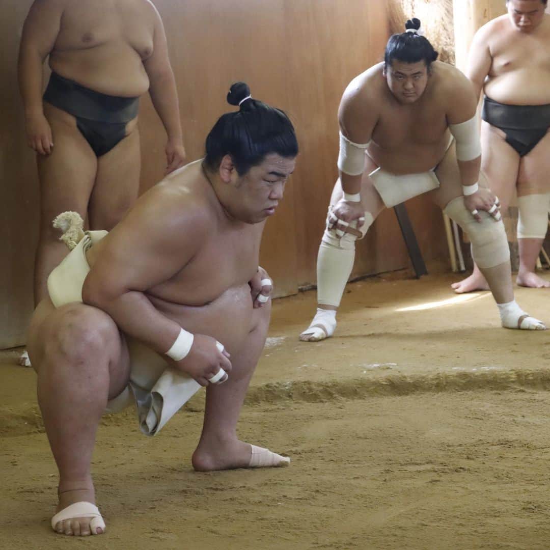 日本相撲協会さんのインスタグラム写真 - (日本相撲協会Instagram)「#境川部屋 愛知県宿舎での稽古の様子です。 師匠は、元小結#両国 の#境川親方 。 関取の#平戸海 #佐田の海 #妙義龍 #對馬洋 をはじめ、19人の力士が所属しております。  本日の稽古の様子は、日本相撲協会公式Twitter、公式YouTubeでも紹介予定です。 大相撲名古屋場所は、7月9日に初日を迎えます。 是非、会場にお越し下さい！  #sumo #相撲 #力士 #大相撲 #お相撲さん #おすもうさん #sumo #japanphoto #sumowrestlers #japanculture #七月場所 #名古屋場所 #名古屋 #ドルフィンズアリーナ #愛知県体育館 #境川部屋」7月3日 20時16分 - sumokyokai