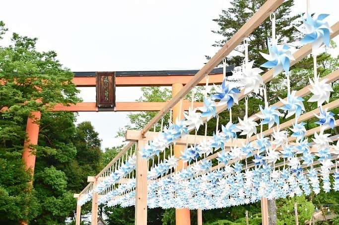 川越氷川神社のインスタグラム