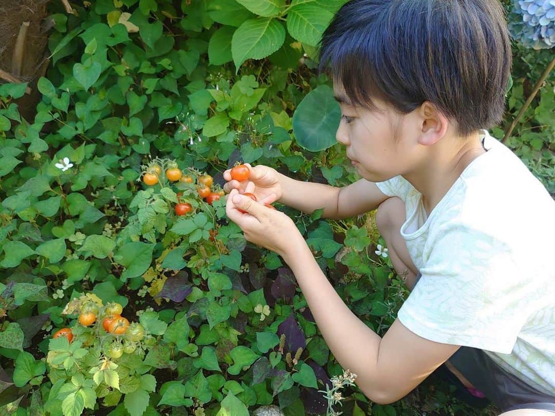 村山輝星のインスタグラム